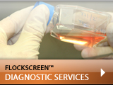flockscreen diagnostic services